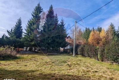 Casă cu 3 camere cu Teren 860 Mp în Băișoara - 16