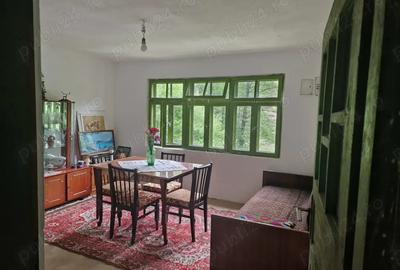 Vand casa in zona de munte, com. Podeni, jud. Mehedin?i. - 5