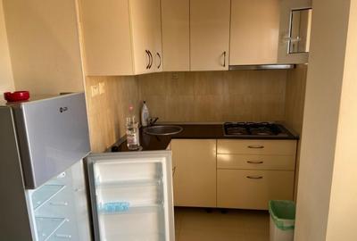 Garsoniera in apropiere de Iulius Mall pe strada Dunarii - 6