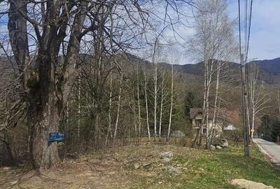Spațiu comercial, în Poiana - 1