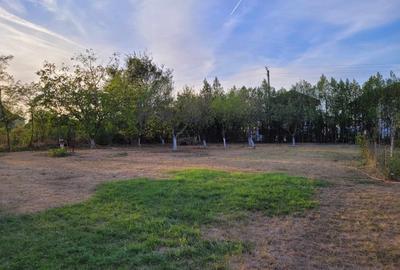 De vanzare teren intravilan 1000 mp. Corbeanca De vanzare teren intravilan 1000 mp. Corbeanca - 4