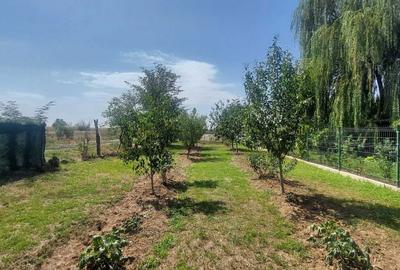 Casă cu 3 camere în Tărtășești - 5