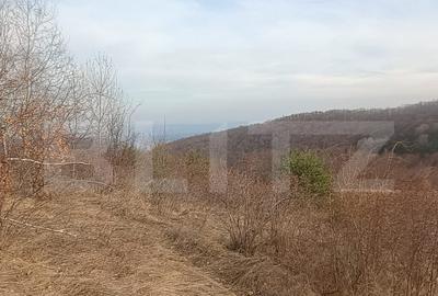 Teren extravilan, 12000 mp, curent com. Ramet - 2