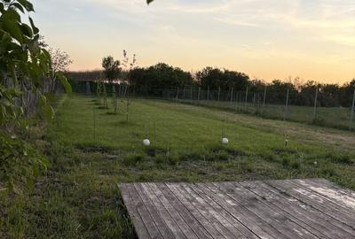 Spațiu comercial, în Ulmi - 7