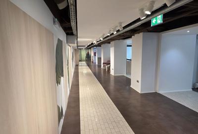 Piata 1 Mai spatiu demisol 475 mp - 23