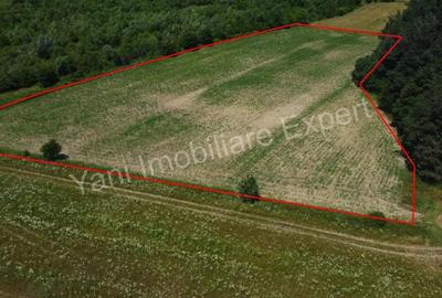 Teren de vanzare in comuna Baicule?ti, Judet Arge?. - 6