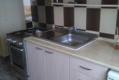 Apartament cu doua camere Bucovina - 2