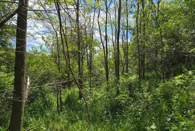 Vand Teren Arefu, Arges zona Cetatea Poenari (Vlad Tepes), Transfagarasan - 5