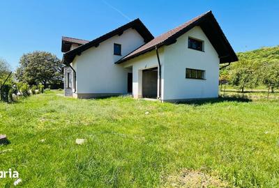 Casă cu 5 camere cu Teren 1650 Mp în Cetate - 3