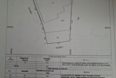 Casă cu 4 camere decomandat în Dacia - 3