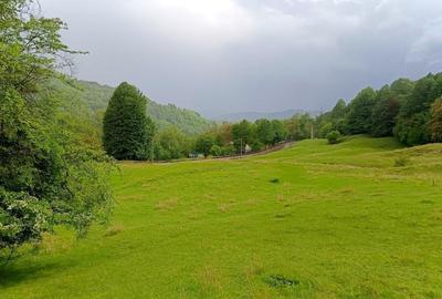 Teren de vanzare Breaza – Nistoresti, Str. Muresului - 3