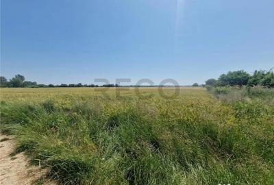 Teren de 4110 mp, în Fughiu - 2