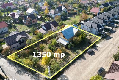 Casă cu 8 camere cu Teren 1350 Mp în Valea Lupului - 11
