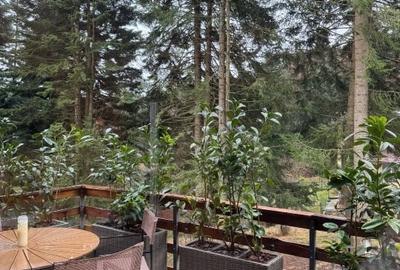 2 cabane scandinave moderne + management inclus + ROI 9.5 ani ! - 4