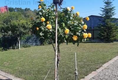 Vila P M 2014, Varsatura 160mp construiti, teren=1000mp Vila P M 2014, Varsatura 160mp construiti, teren=1000mp - 11