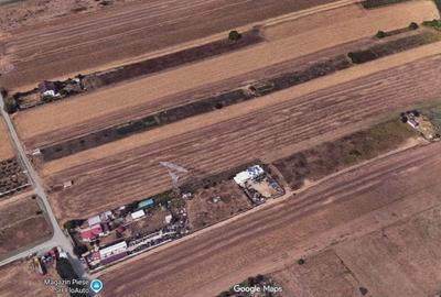 Teren Construcții extravilan de 500 mp, în Frumușani - 3