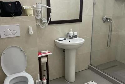 Apartament cu 2 camere decomandat în Nord - 4