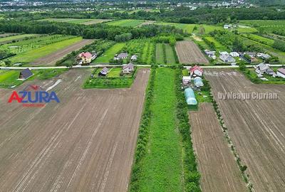 AZURA Imobiliare - Teren Mosoaia - 3