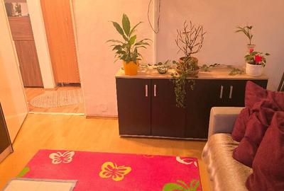 Apartament cu 2 camere decomandat în Bejan - 5