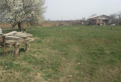 Teren de 1000 mp, în Parța - 3
