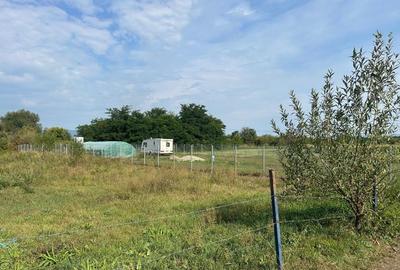 Teren intravilan Halchiu, str. Feldioarei 1600 mp - 3