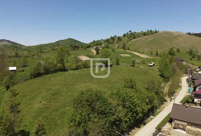 Parcelez teren 6514mp intravilan Manastirea Humorului - 4