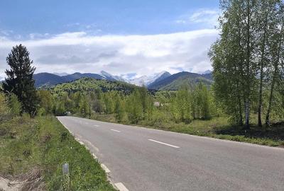 Teren de 3200 mp, în Viștișoara - 1