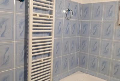 Apartament 2 camere Rovine Liceu Arghezi - 5