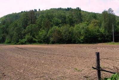 Vad 22000 mp INTRAVILAN BOGATI DJ702C jud Arges - 6