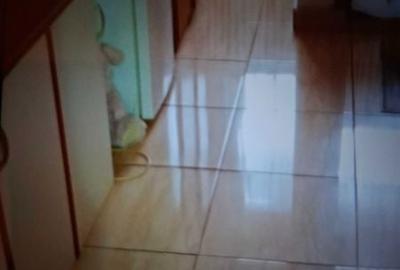 Garsonieră în Blejoi - 3