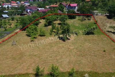 Teren de vanzare in comuna Cicane?ti, sat Bara?ti, jude? Arge?. - 17