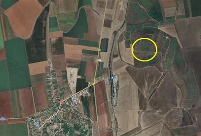 Teren agricol de vanzare Tulcea - 2