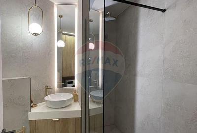 Apartament cu 3 camere decomandat, mobilat în P-ța Alba Iulia