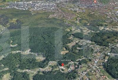 Teren de 5219 mp, în Făget - 3