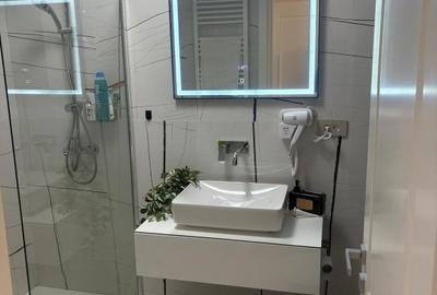 Apartament cu 2 camere decomandat în Parcul Carol - 13