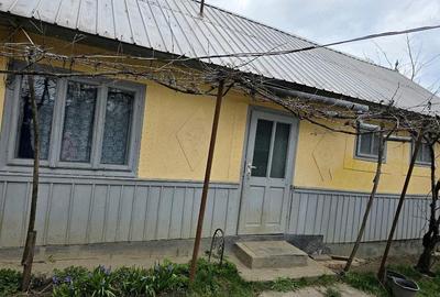 Casă cu 4 camere cu Teren 1550 Mp în Șendriceni - 3