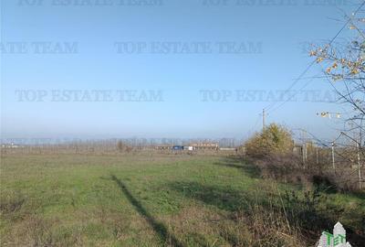 Teren agricol intravilan de 8050 mp, în Gruiu - 5