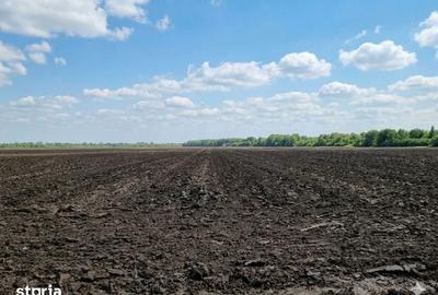 Teren de 8850 mp, în Bucov - 1