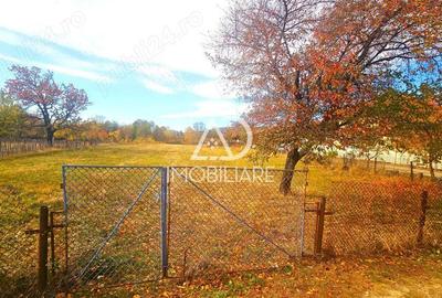 Teren de vanzare Crasna Gorj Comision 0% pentru cumparator - 4