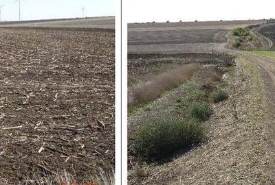 Teren de 9500 mp, în Cobadin - 4