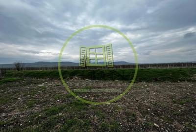 Teren Intravilan 1900mp, Zona D Targul Obor - 5