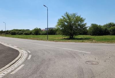 Teren pentru PUZ Locuinte Colective I Calea Lugojului I - 6