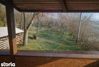 Spațiu comercial, de 175 mp, în Unirea - 20