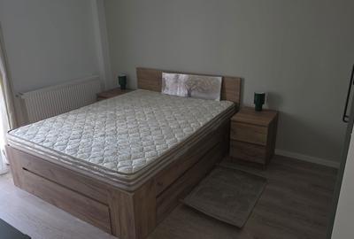 Apartament cu 2 camere decomandat în Moara Vlăsiei - 2