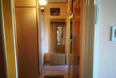 Apartament cu 2 camere semidecomandat în Tineretului - 5