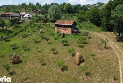 Teren de 6200 mp, în Cicănești - 8