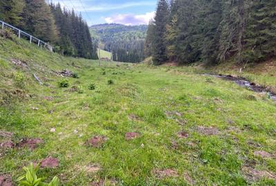 Spațiu comercial, în Arieșeni - 2