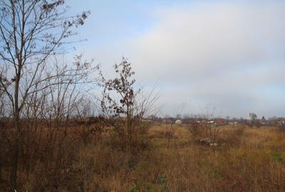 Teren 39.500 mp  Freidorf - 3