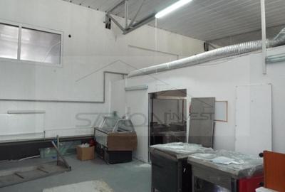 Inchirieri Spatii industriale ILFOV - SUD JILAVA - 16