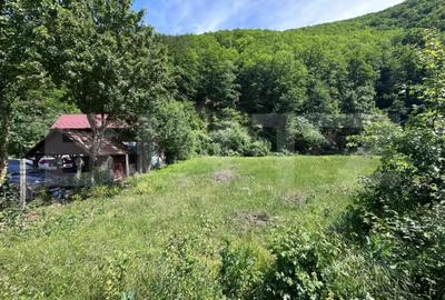 Teren în Someșu Rece - 3